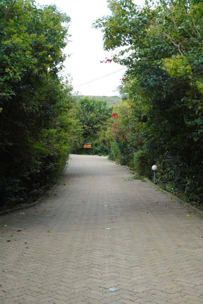DSC07048