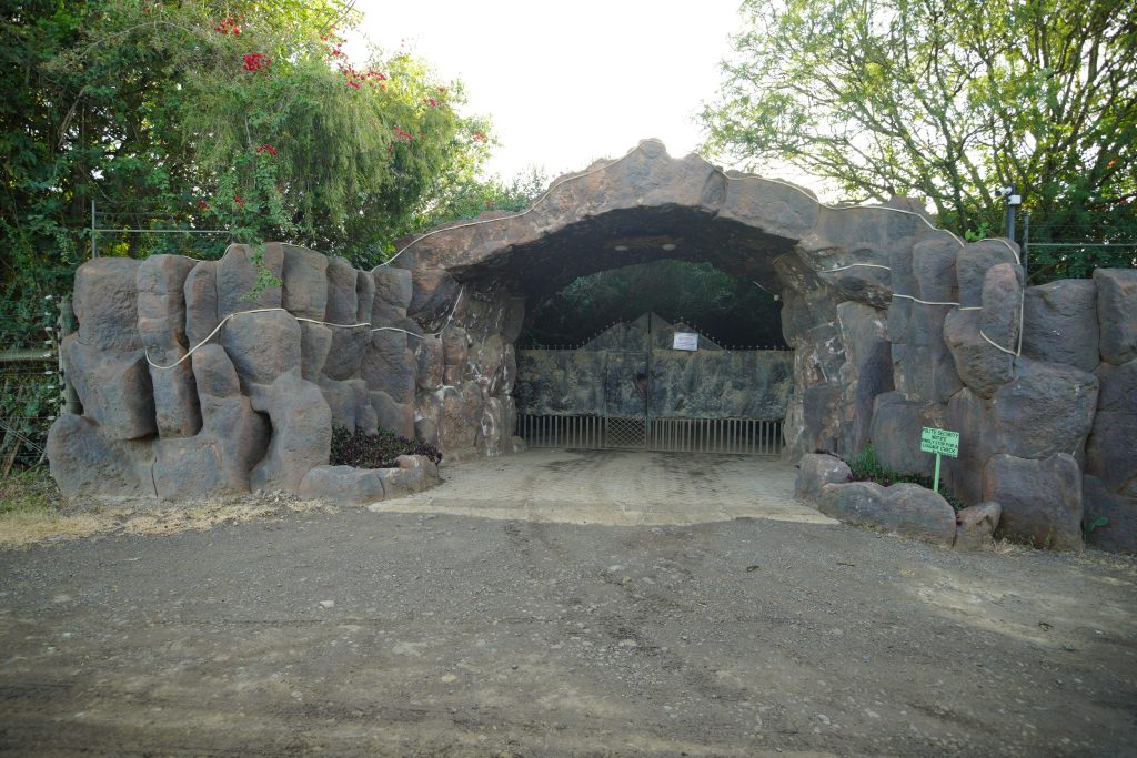 DSC07743