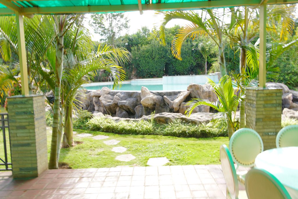 DSC07008